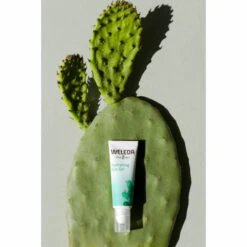 Weleda Ooggel Vijgencactus Hydraterend -Garnier Winkel 1011832 3