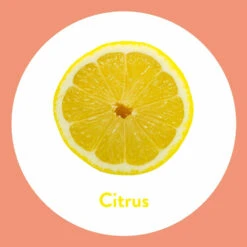 6x Dettol Handzeep Antibacterieel Navulling Citrus -Garnier Winkel 1014569 4