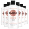 6x Syoss Keratin Conditioner -Garnier Winkel 1018783