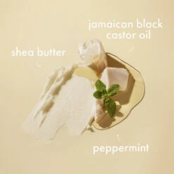 Shea Moisture Jamaican Black Castor Oil Strenghten & Restore Conditioner 8 Shea Moisture Jamaican Black Castor Oil Strenghten & Restore Conditioner -Garnier Winkel 1049823 3