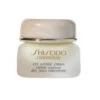 Shiseido Concentrate Eye Wrinkle Cream -Garnier Winkel 1072525