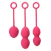 Svakom Premium Kegel Balls Bova -Garnier Winkel 1072785