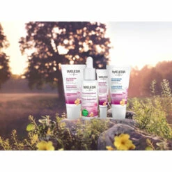 Weleda Oog En Lip Contourcrème Evening Primrose Versterkend -Garnier Winkel 974003 4