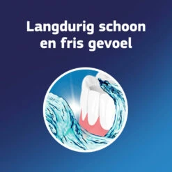 3x Fixodent Reinigingstabletten Complete Care -Garnier Winkel 998573 4 1