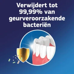 3x Fixodent Reinigingstabletten Complete Care -Garnier Winkel 998573 5 1